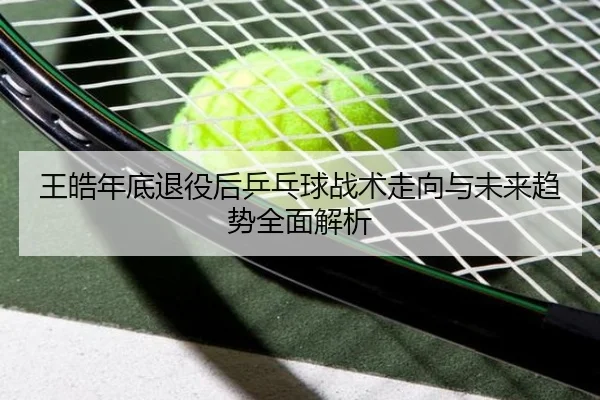 王皓年底退役后乒乓球战术走向与未来趋势全面解析