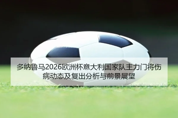 多纳鲁马2026欧洲杯意大利国家队主力门将伤病动态及复出分析与前景展望